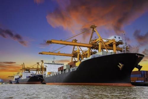 國際海運中時效不一樣是因為什么？